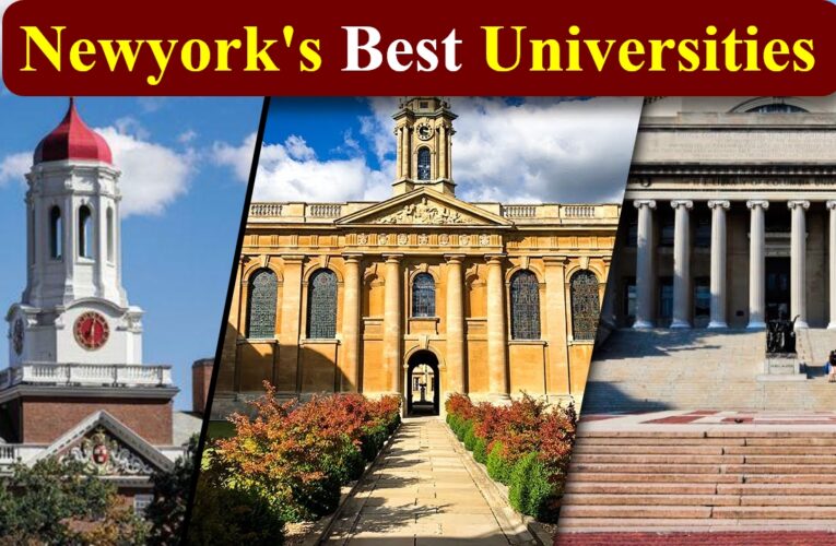 Gems of Education: Revealing New York’s Premier University